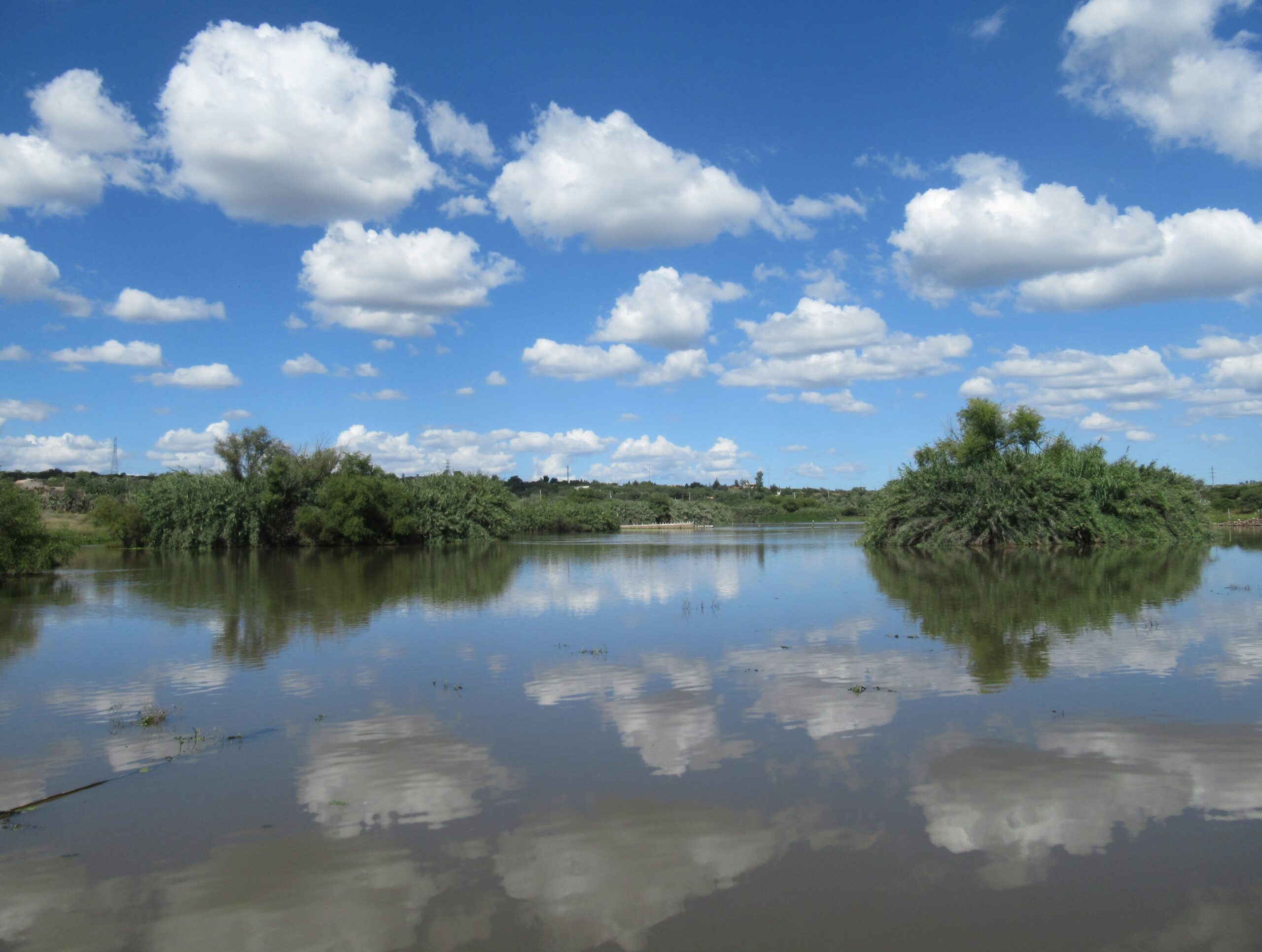 resevoir-botanical-garden-san-miguel-de-allende-9-0ct-2019-600x450