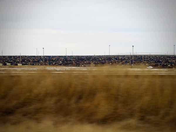 Thousands upon thousands of cows await their fate in an Oklahoma stockyard along US-54