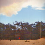 Smoke from the nearby massive bush fires starts to cover the beach at Jervis Bay