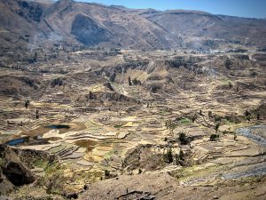 Farms follow the Colca River as it winds its way toward Colca Canyon