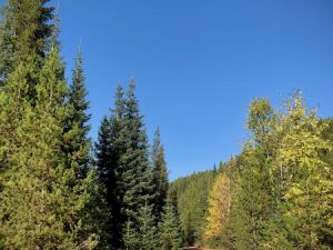 The last freight train along this route passed through these mountains in 1980