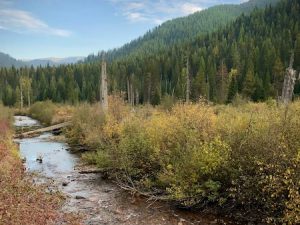 Moon Pass Road parallels the north fork of the Saint Joe River