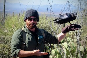 A Chihuahuan raven starts the show at the Arizona-Sonora Desert Museum