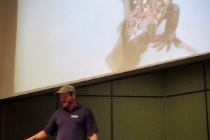 The venomous Gila monster sneaks up on its handler at the Arizona-Sonora Desert Museum