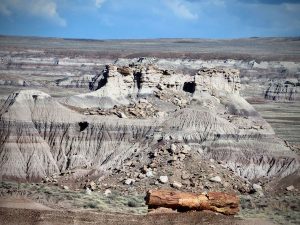 Giant and rare, intact petrified log at Blue Mesa inside the Petrified Forest National Park, Arizona.