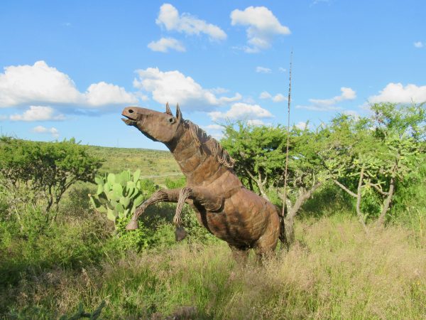 Horse statue art at el Charco del Ingenio botanical garden