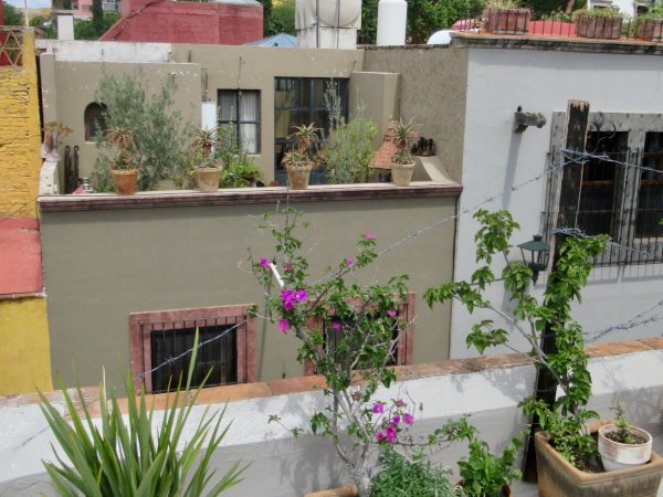 Rooftop view to the center of old San Miguel de Allende